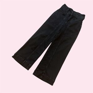 Anthropologie Pilcro Cropped Wide-Leg Paneled Jeans, Black Stonewash, Size 23P